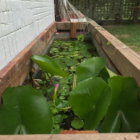 Eco Willow - Kathaluwa Atadahewatugoda Exteriör bild